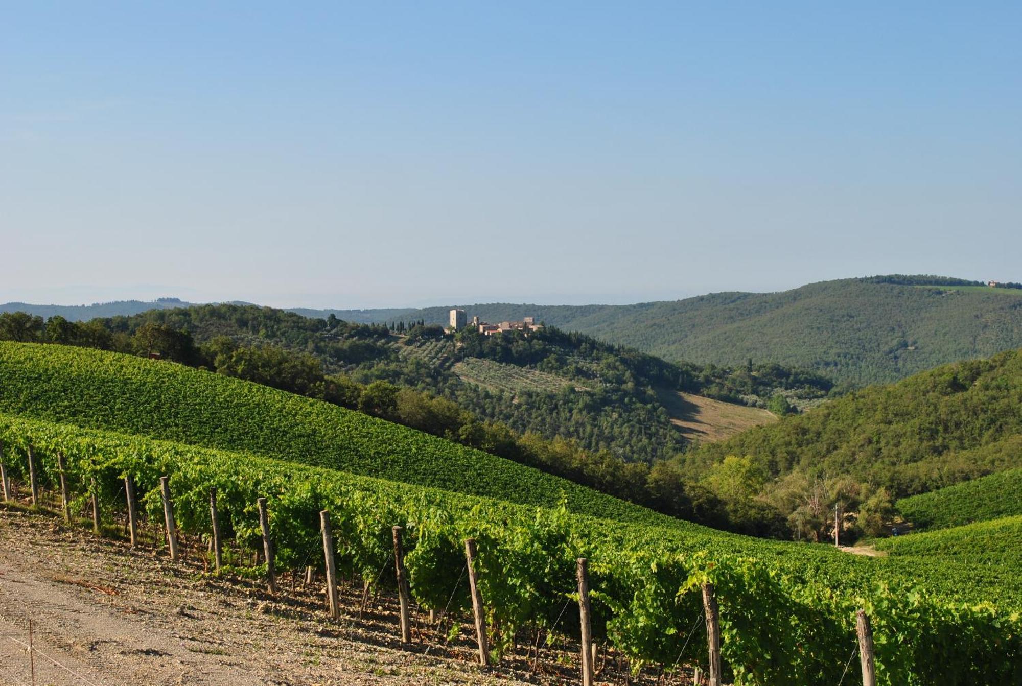 Castello Di Spaltenna Exclusive Resort & Spa Gaiole in Chianti Kültér fotó